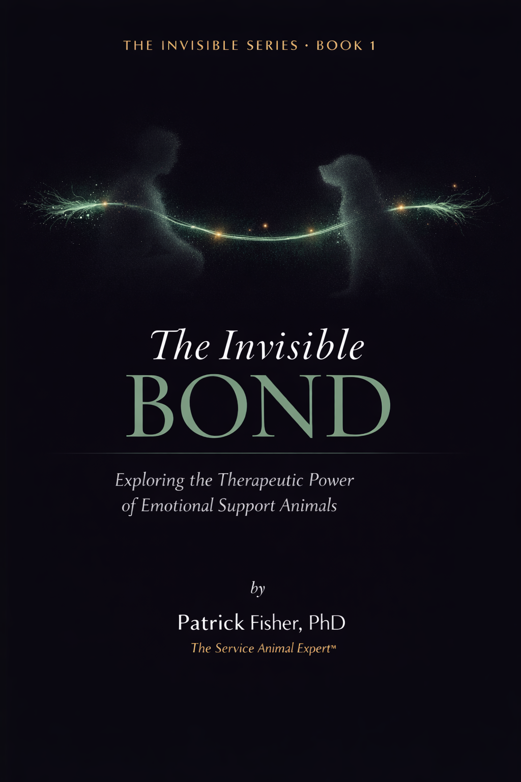 The Invisible Bond book cover