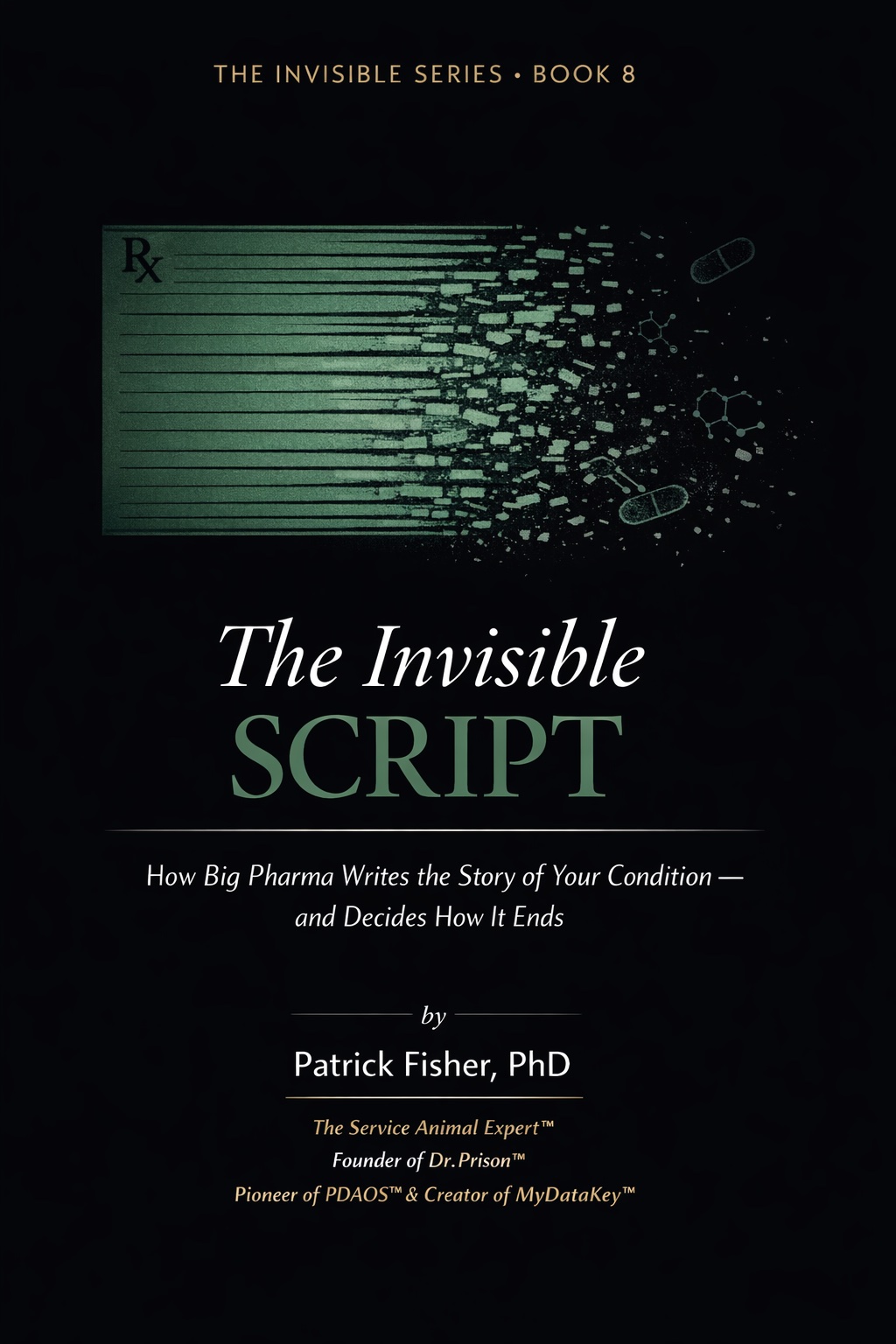 The Invisible Script book cover